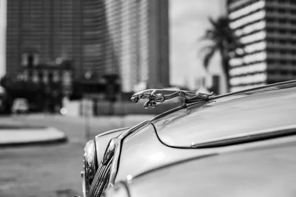 WagerWeb Kasyno Aplikacja Android/iOS